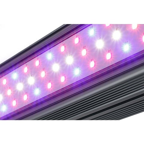 Image of Kind LED X-Series XD75 / XD150 Bar Light