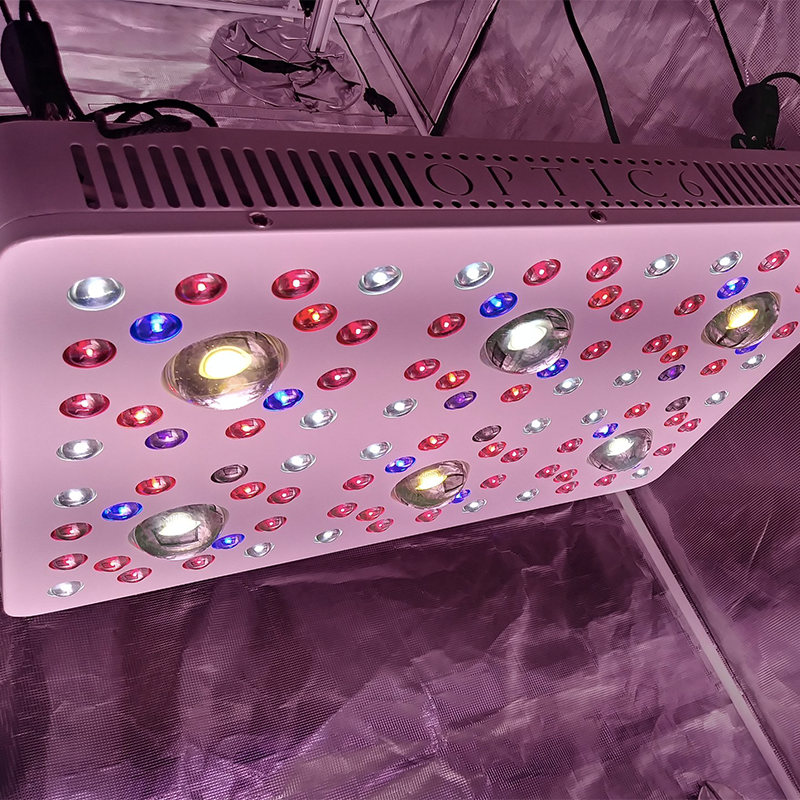 Buy Optic LED Optic 6 Gen3 Grow Light | Lowest Price Guaranteed Buy Optic LED Optic 6 Gen3 Grow Light | Lowest Price Guaranteed