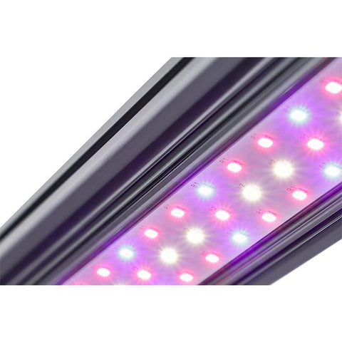 Image of Kind LED X-Series X40 / X80 Bar Light