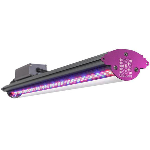 Image of Kind LED X-Series X40 / X80 Bar Light