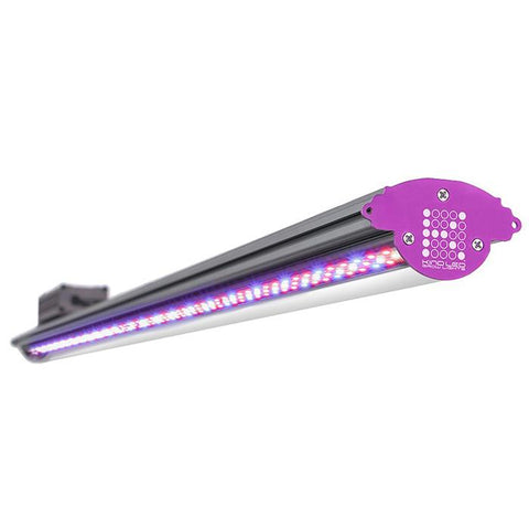 Image of Kind LED X-Series X40 / X80 Bar Light