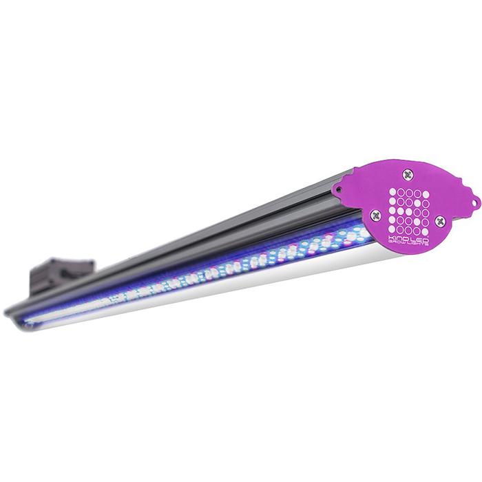 Kind Led Fixture Buy Kind LED X-Series X40 / X80 Bar Light | Lowest Price Guaranteed ...